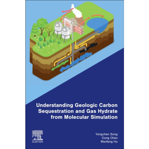 Elsevier - Health Sciences Division Understanding Geologic Carbon Sequestration and Gas Hydrate from Molecular Simulation (häftad, eng)