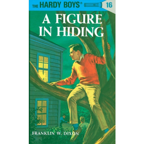 Penguin Putnam Inc Hardy Boys 16: a Figure in Hiding (inbunden, eng)