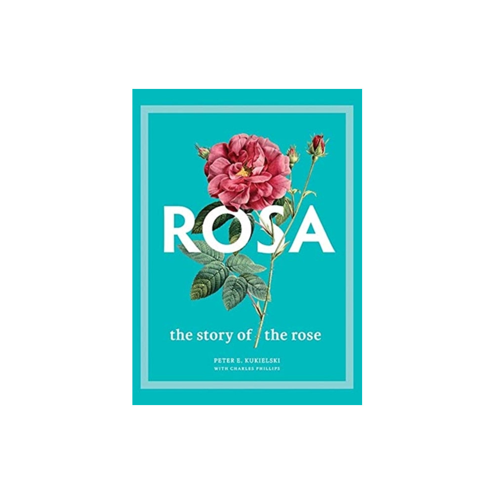 Produktbild för Rosa (inbunden, eng)