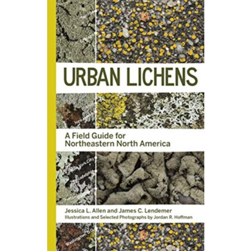 Yale university press Urban Lichens (häftad, eng)