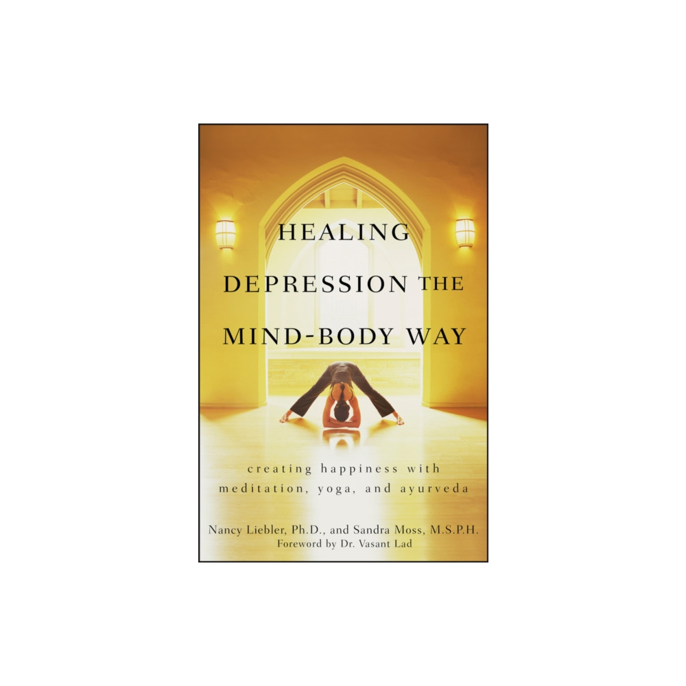 Produktbild för Healing Depression the Mind-Body Way (häftad, eng)