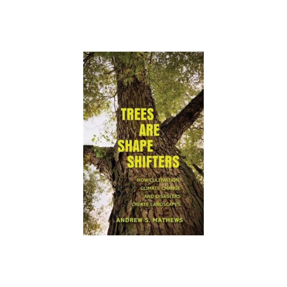 Produktbild för Trees Are Shape Shifters (häftad, eng)