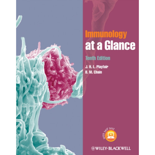 John Wiley And Sons Ltd Immunology at a Glance (häftad, eng)