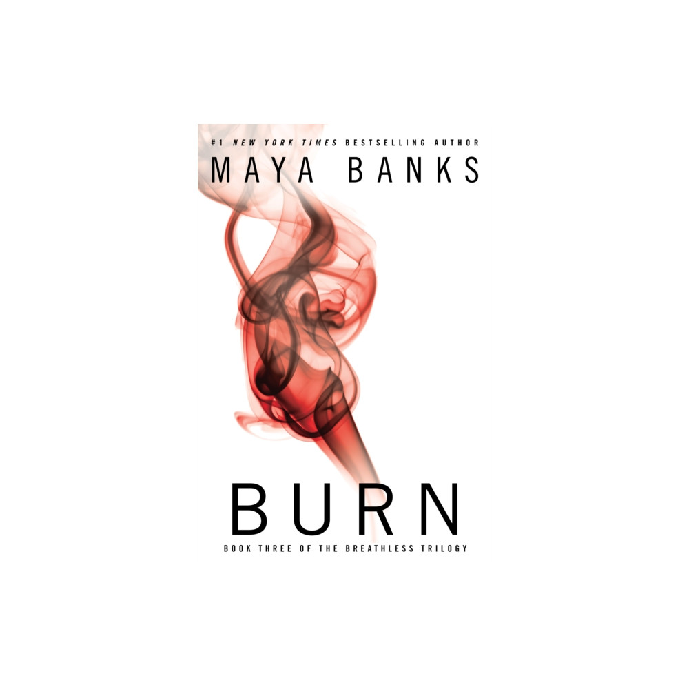 Produktbild för Burn (häftad, eng)