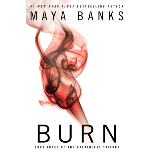 Penguin Putnam Inc Burn (häftad, eng)
