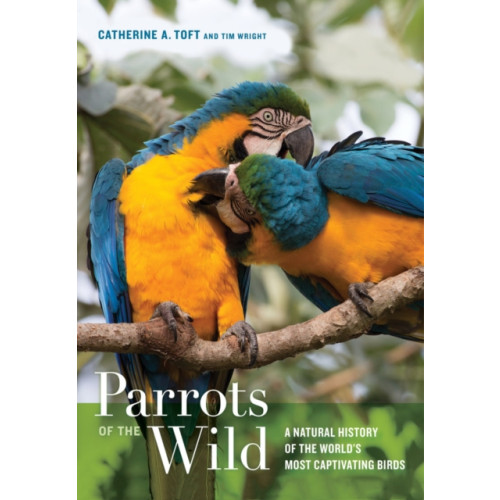 University of california press Parrots of the Wild (inbunden, eng)