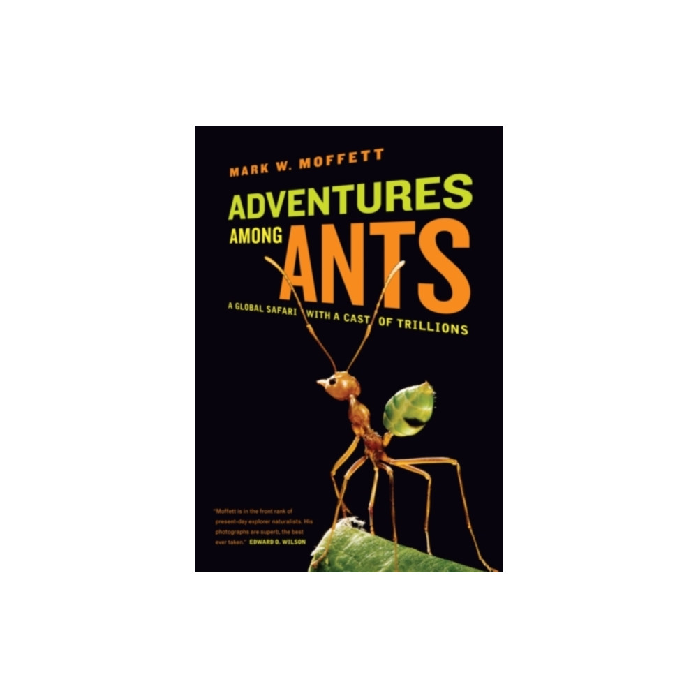 Produktbild för Adventures among Ants (häftad, eng)
