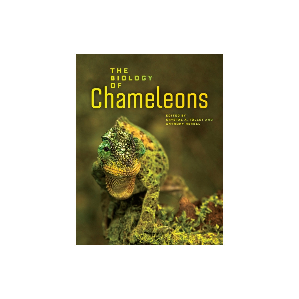 Produktbild för The Biology of Chameleons (inbunden, eng)