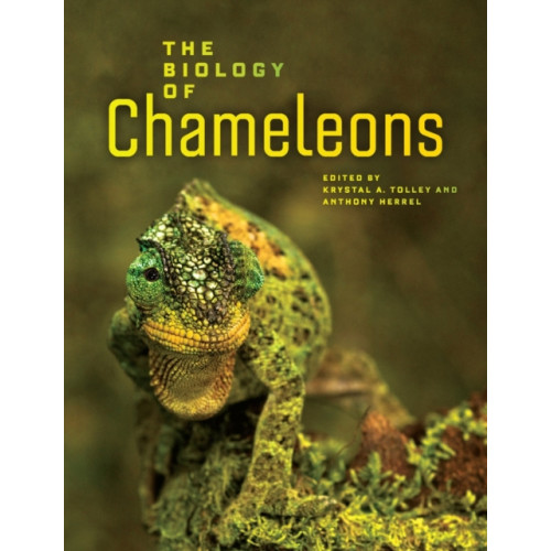 University of california press The Biology of Chameleons (inbunden, eng)