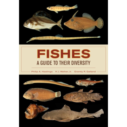 University of california press Fishes: A Guide to Their Diversity (häftad, eng)