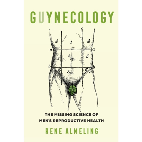 University of california press GUYnecology (häftad, eng)