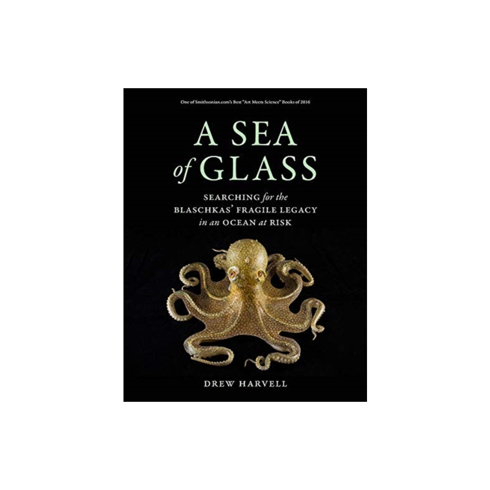 Produktbild för A Sea of Glass (häftad, eng)