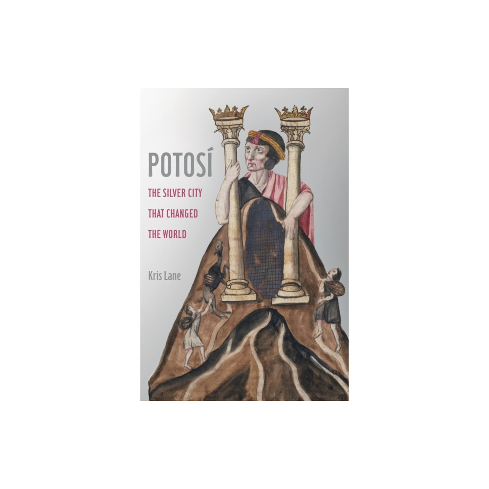 Produktbild för Potosi (häftad, eng)