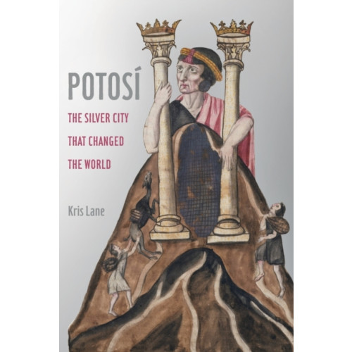 University of california press Potosi (häftad, eng)