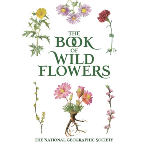 Dover publications inc. Book of Wild Flowers (häftad, eng)