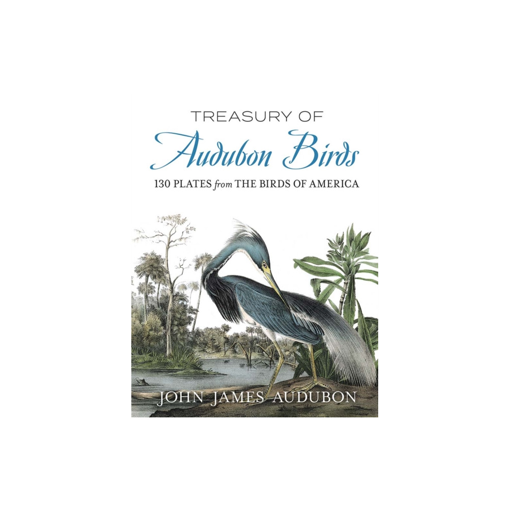 Produktbild för Treasury of Audubon Birds (häftad, eng)