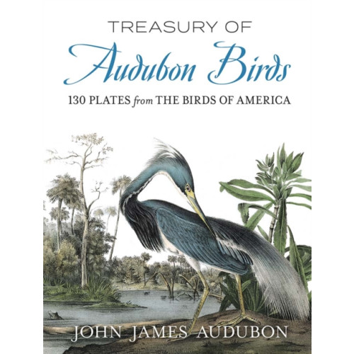 Dover publications inc. Treasury of Audubon Birds (häftad, eng)