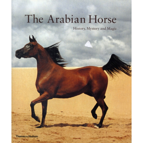 Thames & Hudson Ltd The Arabian Horse (häftad, eng)