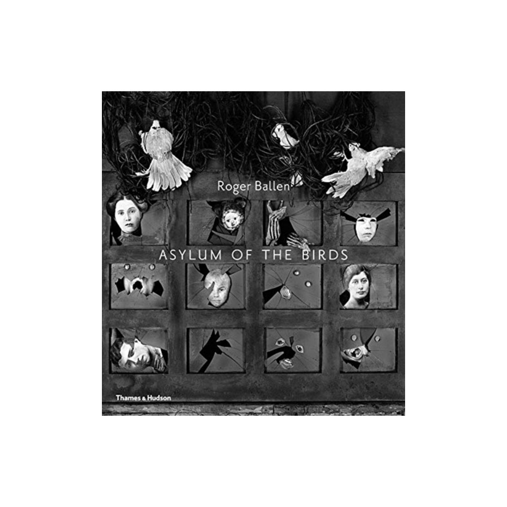 Produktbild för Asylum of the Birds (häftad, eng)