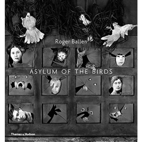 Thames & Hudson Ltd Asylum of the Birds (häftad, eng)