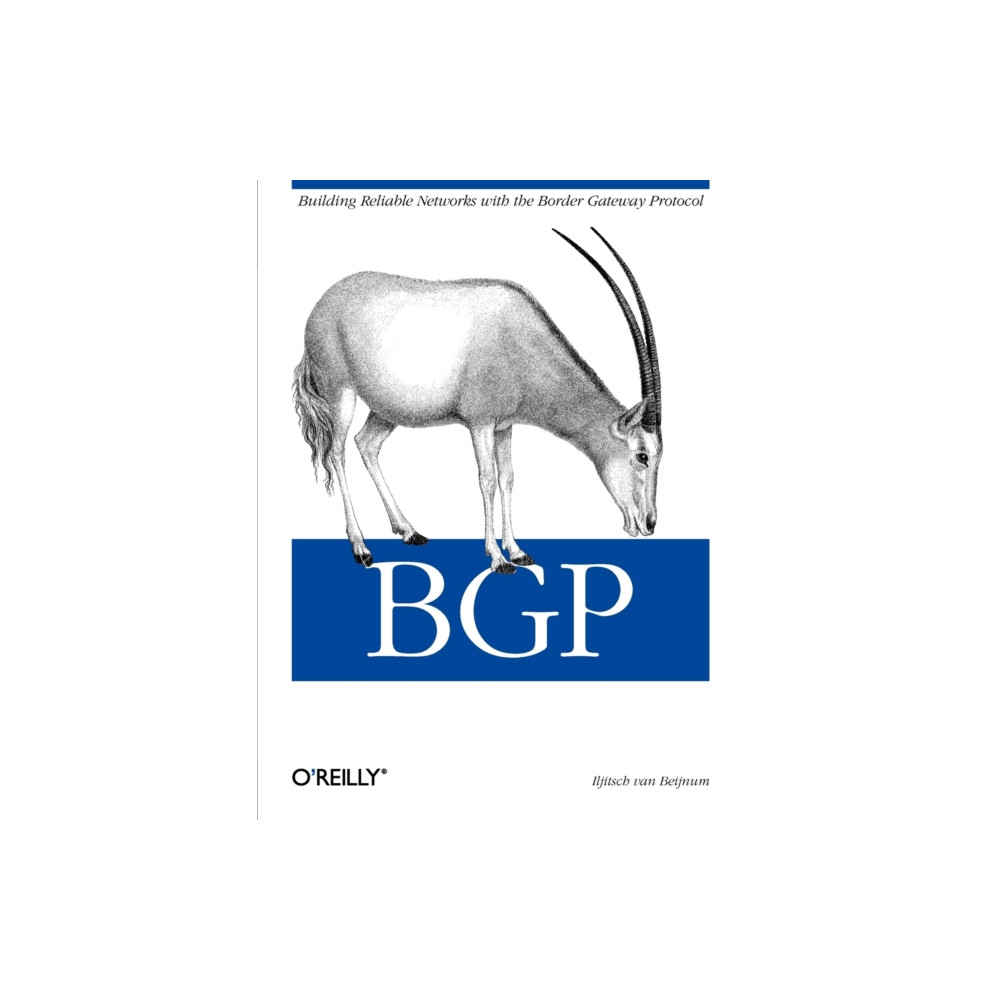 Produktbild för BGP (häftad, eng)