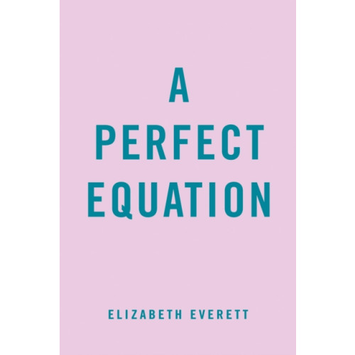 Penguin Putnam Inc A Perfect Equation (häftad, eng)