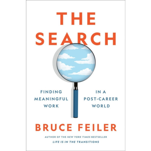 Penguin Putnam Inc The Search (inbunden, eng)