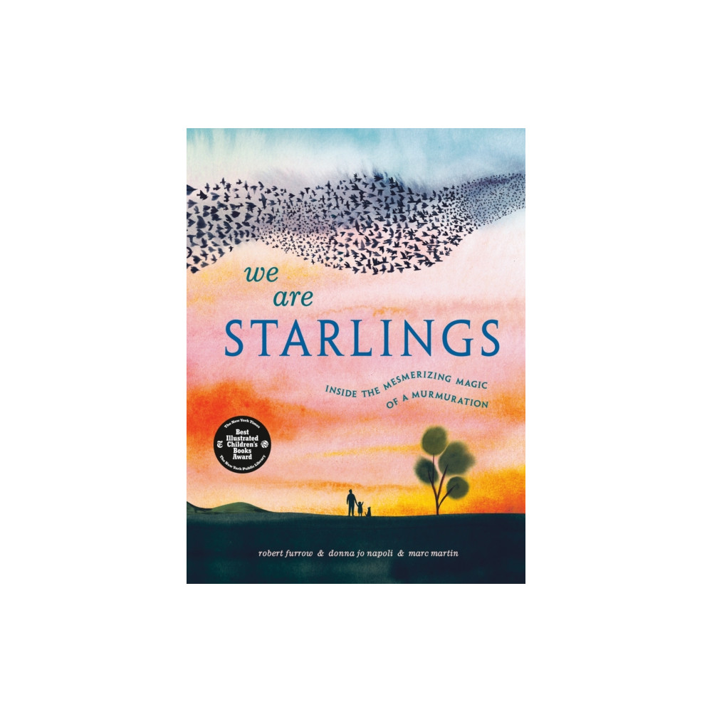 Produktbild för We Are Starlings (inbunden, eng)