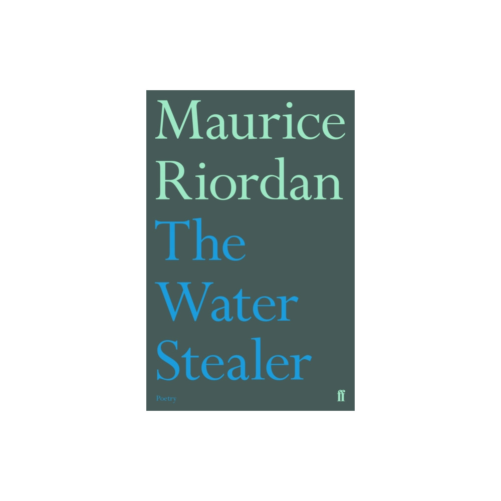 Produktbild för The Water Stealer (häftad, eng)