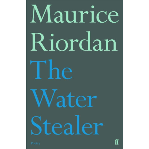 Faber & Faber The Water Stealer (häftad, eng)