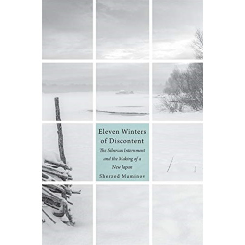 Harvard university press Eleven Winters of Discontent (inbunden, eng)