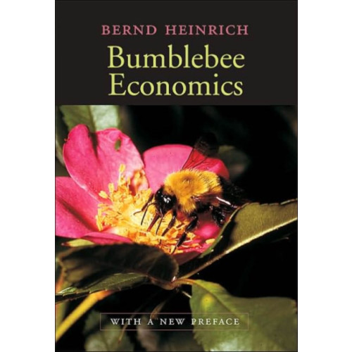 Harvard university press Bumblebee Economics (häftad, eng)