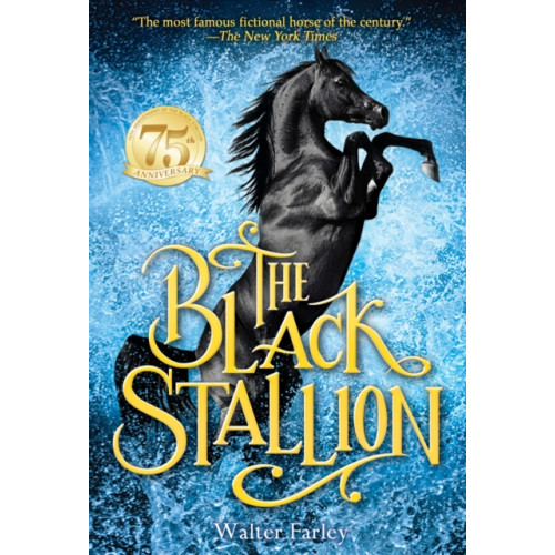 Random House USA Inc The Black Stallion (häftad, eng)