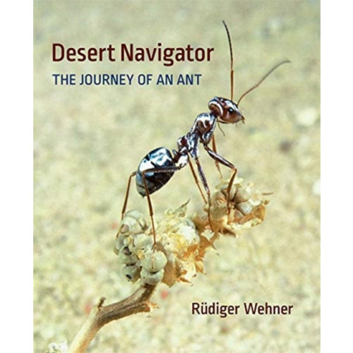 Harvard university press Desert Navigator (inbunden, eng)