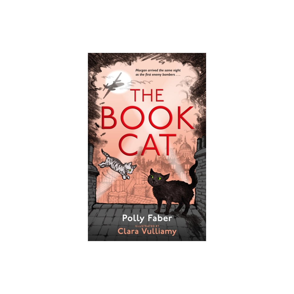 Produktbild för The Book Cat (inbunden, eng)