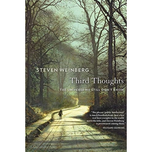 Harvard university press Third Thoughts (häftad, eng)