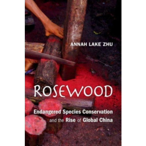 Harvard university press Rosewood (inbunden, eng)