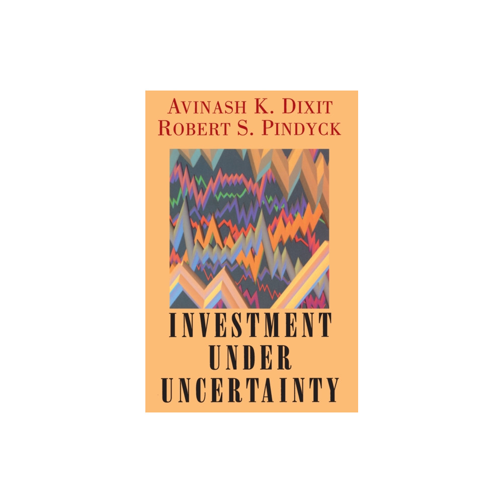 Produktbild för Investment under Uncertainty (inbunden, eng)