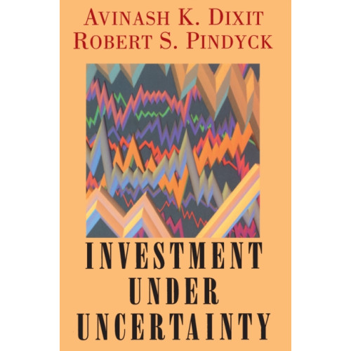 Princeton University Press Investment under Uncertainty (inbunden, eng)
