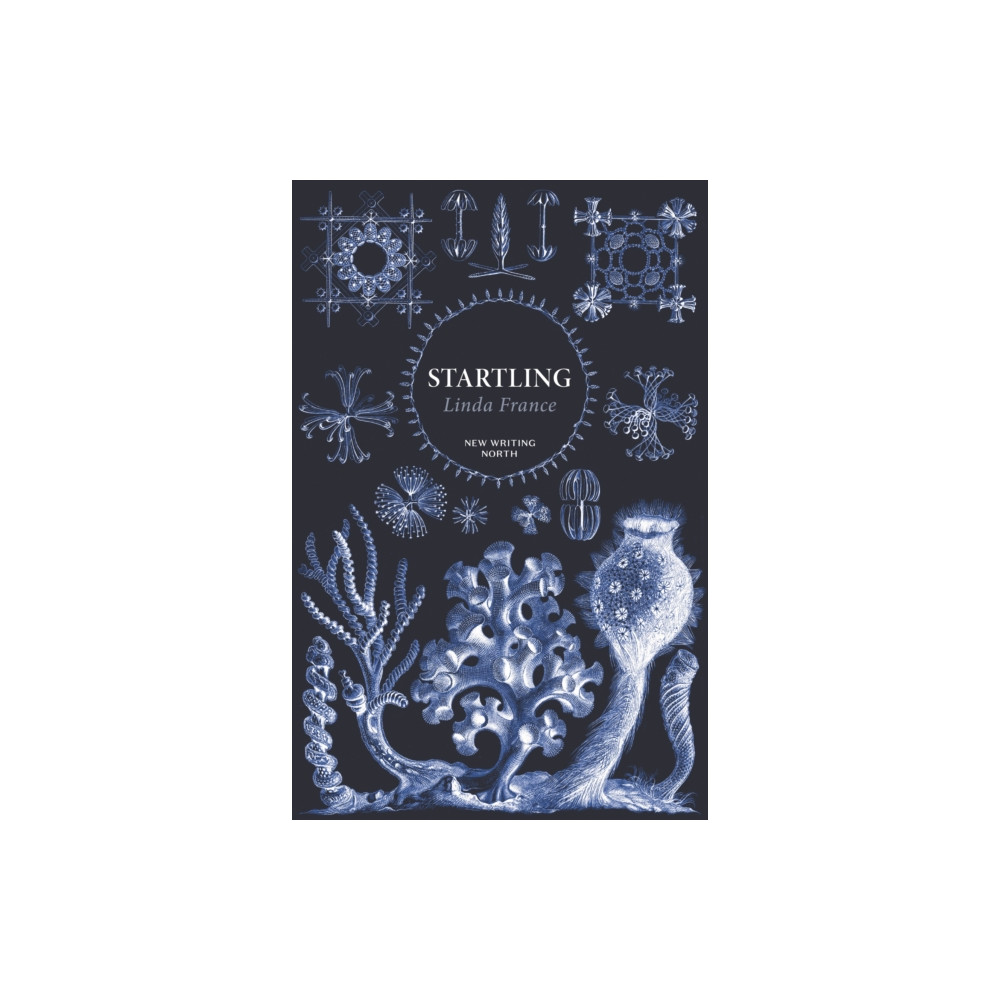 Produktbild för Startling (häftad, eng)