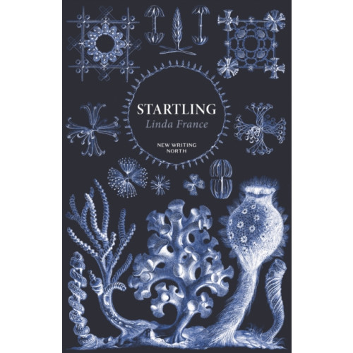 Faber & Faber Startling (häftad, eng)