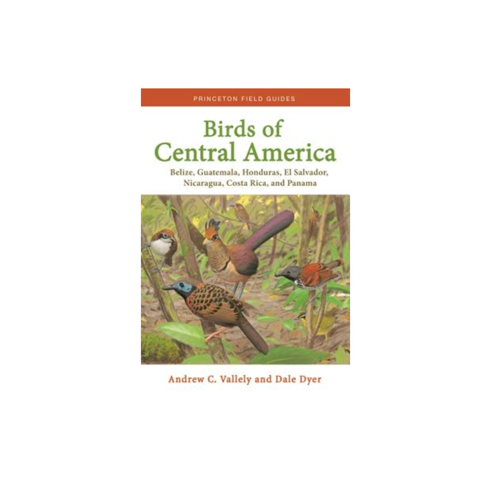 Produktbild för Birds of Central America (häftad, eng)