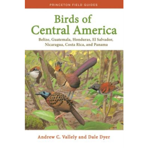 Princeton University Press Birds of Central America (häftad, eng)