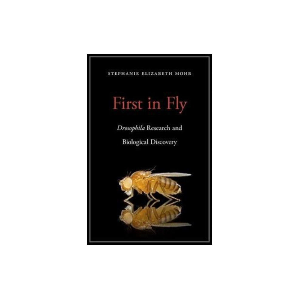 Produktbild för First in Fly (inbunden, eng)