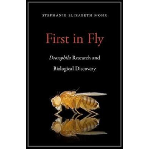 Harvard university press First in Fly (inbunden, eng)