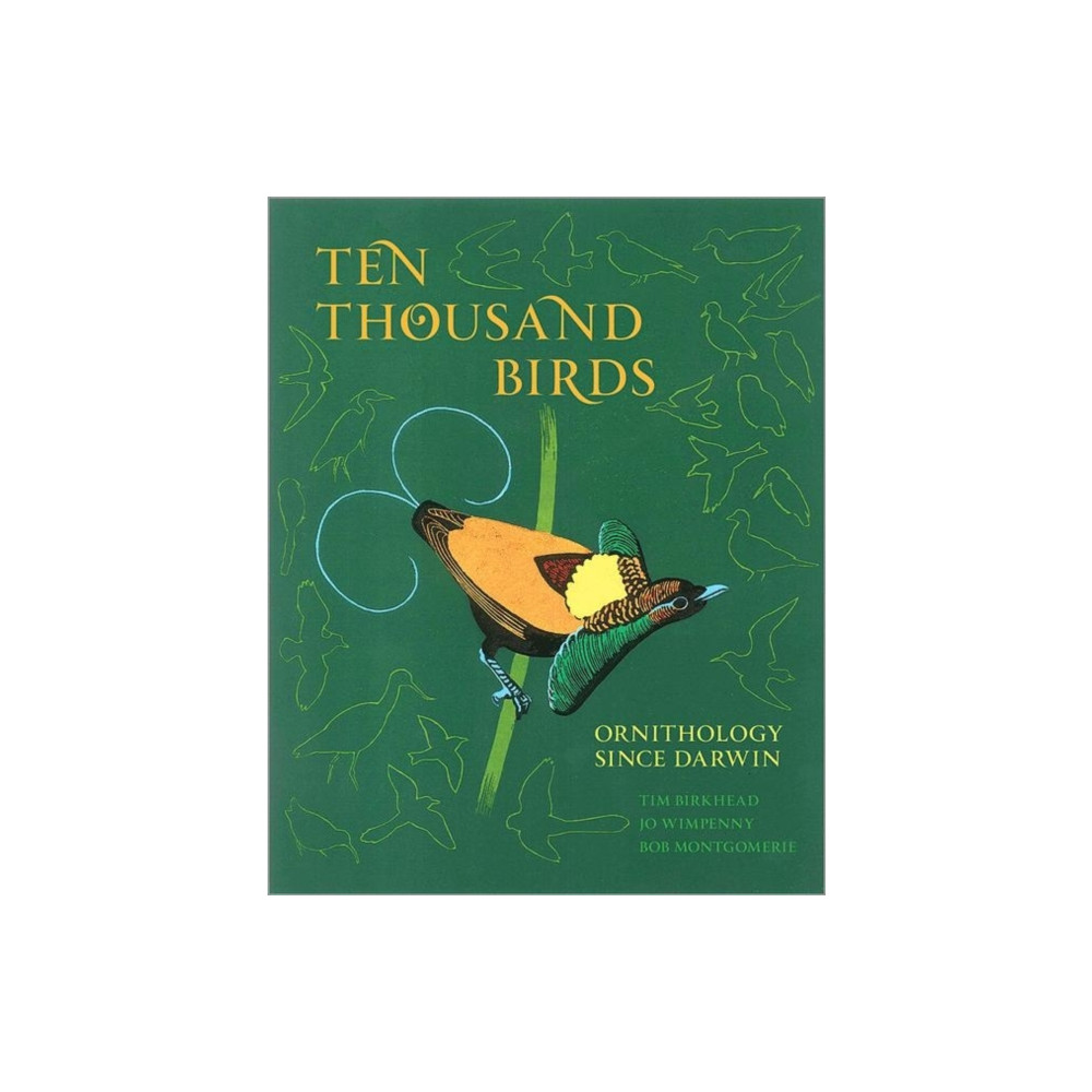 Produktbild för Ten Thousand Birds (inbunden, eng)