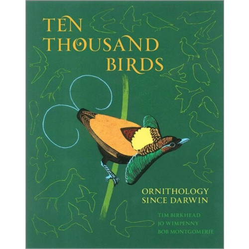 Princeton University Press Ten Thousand Birds (inbunden, eng)
