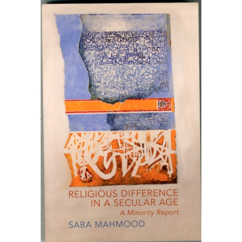 Princeton University Press Religious Difference in a Secular Age (häftad, eng)