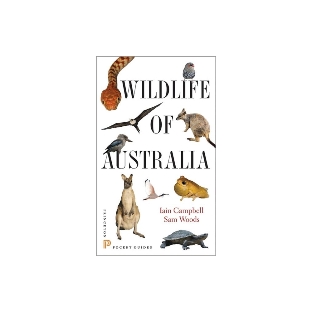 Produktbild för Wildlife of Australia (häftad, eng)