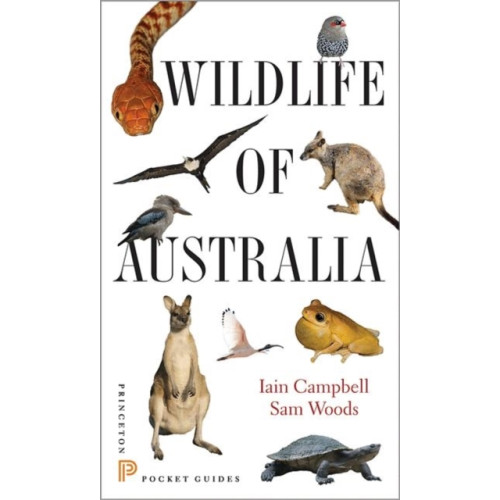 Princeton University Press Wildlife of Australia (häftad, eng)